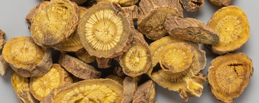 Baikal Helmkraut | Ein verborgenes Juwel der Heilpflanzen