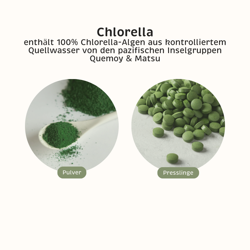 Phyto-Supp Chlorella enthält Presslinge aus Chlorella-Pulver