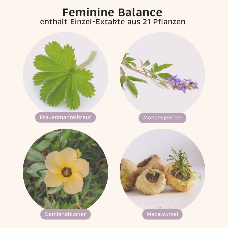 Phyto-Essence Feminine Balance enthält u.a. Einzel-Extrakte aus Frauenmantelkraut, Mönchspfeffer, Damianablättern und Macawurzel