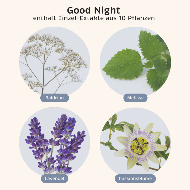 Phyto-Essence Good Night enthält u.a. Einzel-Extrakte aus Baldrian, Melisse, Lavendel und Passionsblume