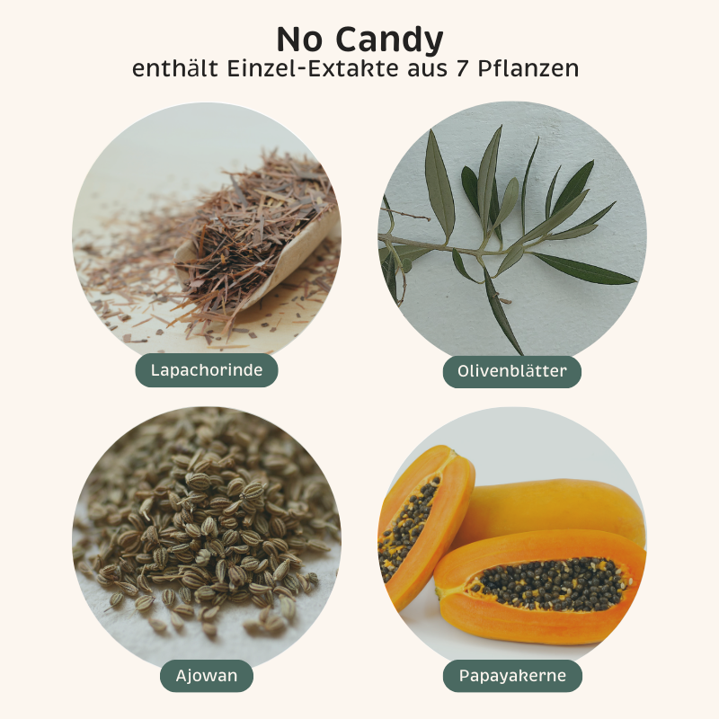 Phyto-Essence No Candy enthält u.a. Einzel-Extrakte aus Lapachorinde, Olivenblätter, Ajowan und Papayakernen