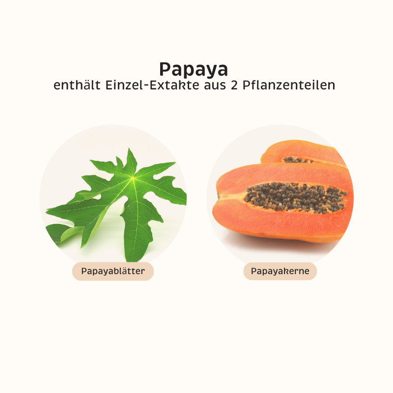 Phyto-Essence Papaya enthält Einzel-Extrakte aus Papayablättern und Papayakernen