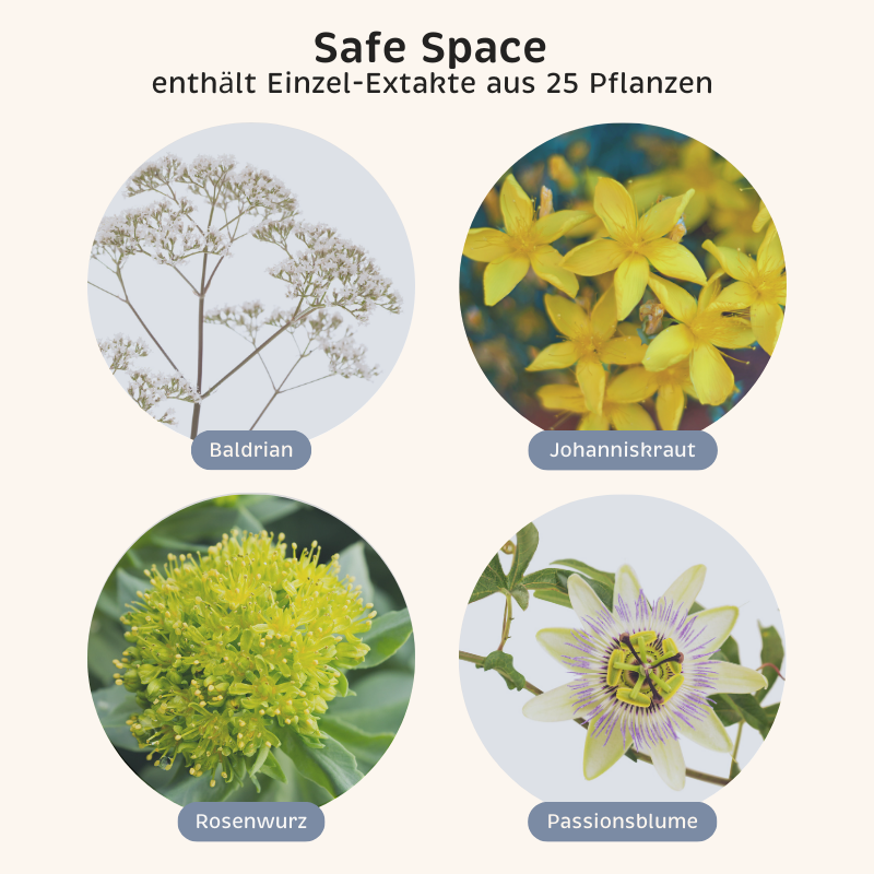 Phyto-Essence Safe Space enthält u.a. Einzel-Extrakte aus Baldrian, Johanniskraut, Rosenwurz und Passionsblume
