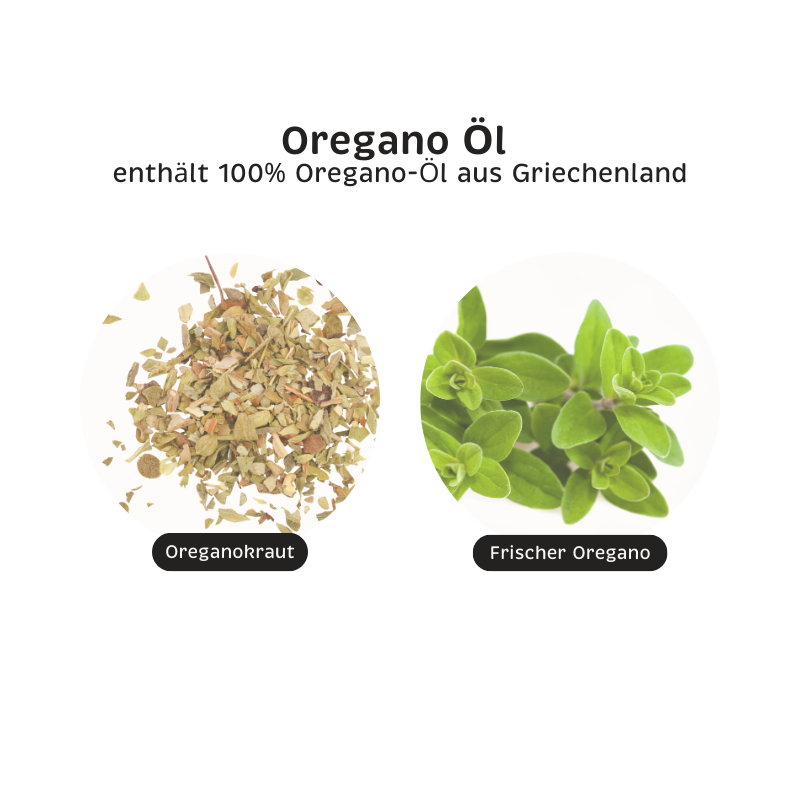 Oregano Öl