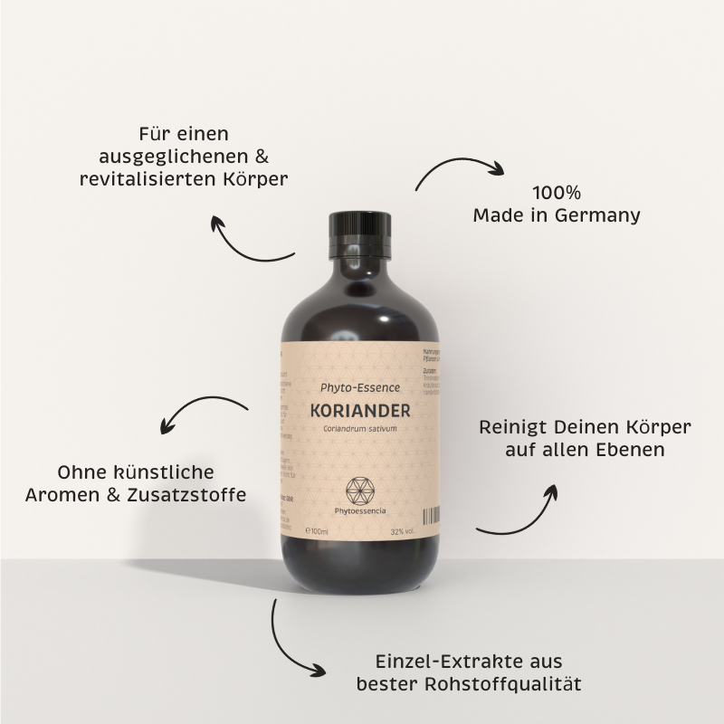 Paket Ausleitung