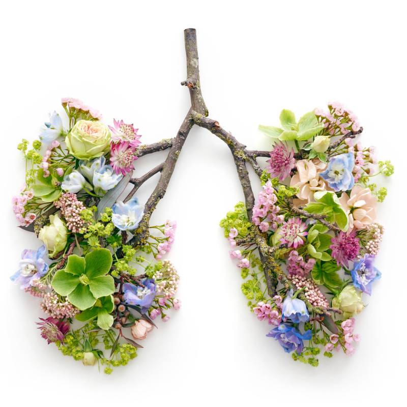 Zwei Zweige mit Blüten und Blättern in Form von einer Lunge