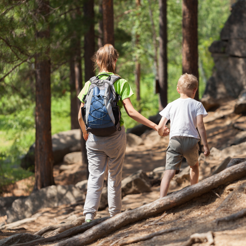 Zwei Kinder wandern Hand in Hand durch den Wald