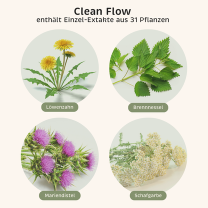 Phyto-Essence Clean Flow enthält u.a. Einzel-Extrakte aus Löwenzahn, Brennnessel, Mariendistel und Schafgarbe