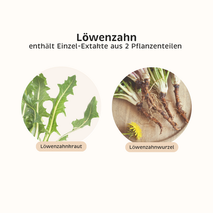 Löwenzahn