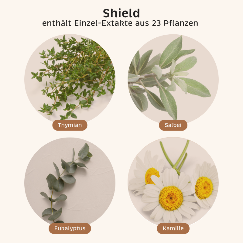 Phyto-Essence Shield enthält u.a. Einzel-Extrakte aus Thymian, Salbei, Eukalyptus und Kamille