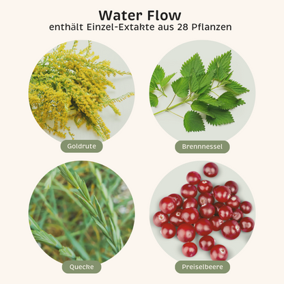 Phyto-Essence Water Flow enthält u.a. Einzel-Extrakte aus Goldrute, Brennnessel, Quecke und Preiselbeeren