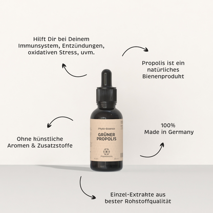 Grüner Propolis