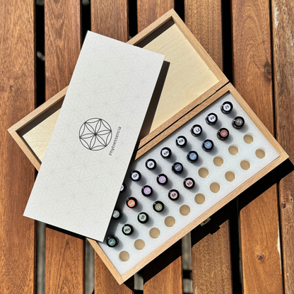 Testsatz: Phyto-Essencen